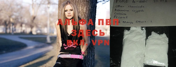 ПСИЛОЦИБИНОВЫЕ ГРИБЫ Гусиноозёрск
