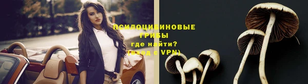 MESCALINE Мегион