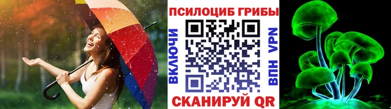 цена наркотик  Кинешма  Псилоцибиновые грибы мицелий 